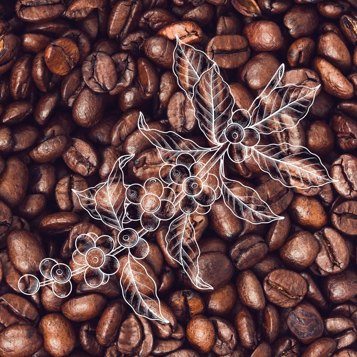 Café Casteletes, identidade visual e packaging