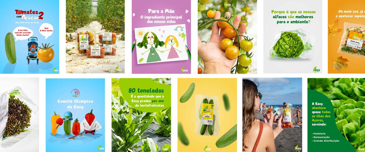 Publicação de redes sociais criada pela Insurgente para a Easy Fruits & Salads