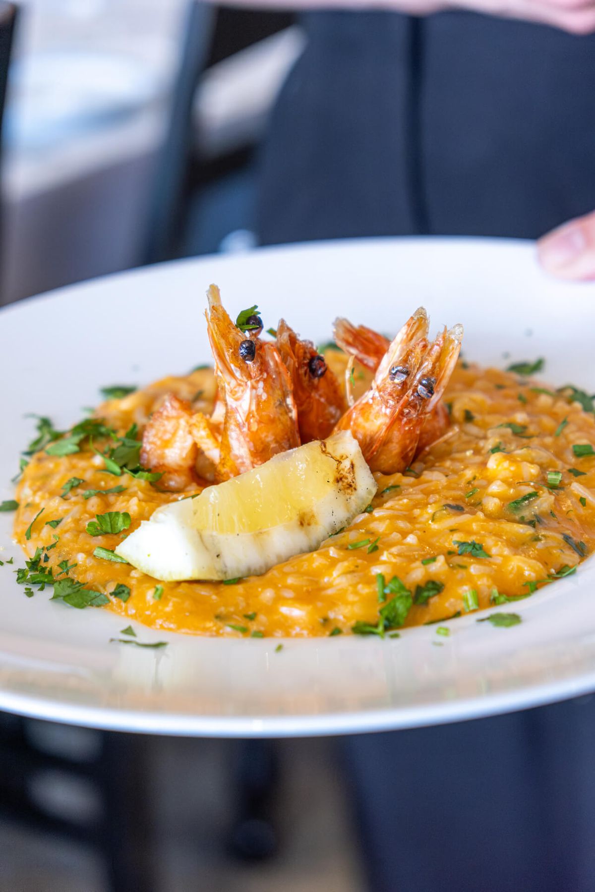Arroz de camarão fotografado no restaurante Mariserra
